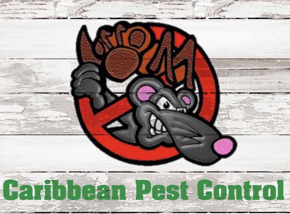 caribbean pest control
